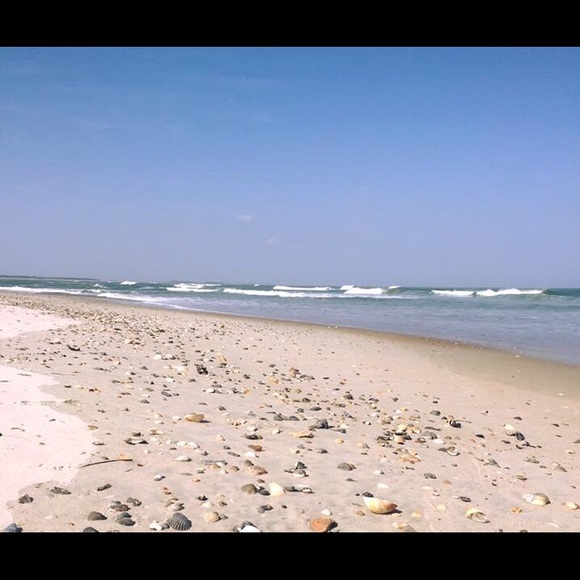 Meet your Posher, Lisa - Picture 4 of 8